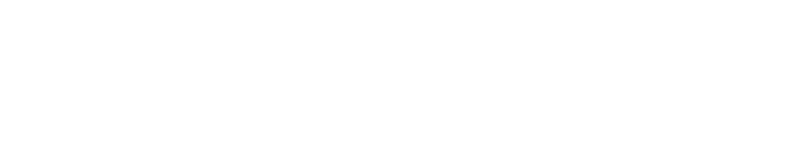 LOGO BLANCO COMPLETO